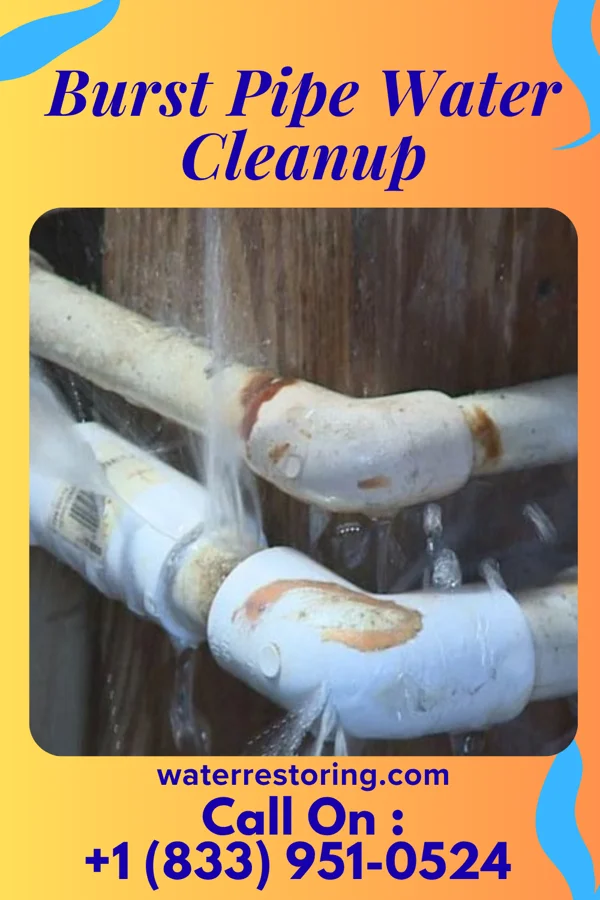 Burst Pipe Water Cleanup in Twilight, PA