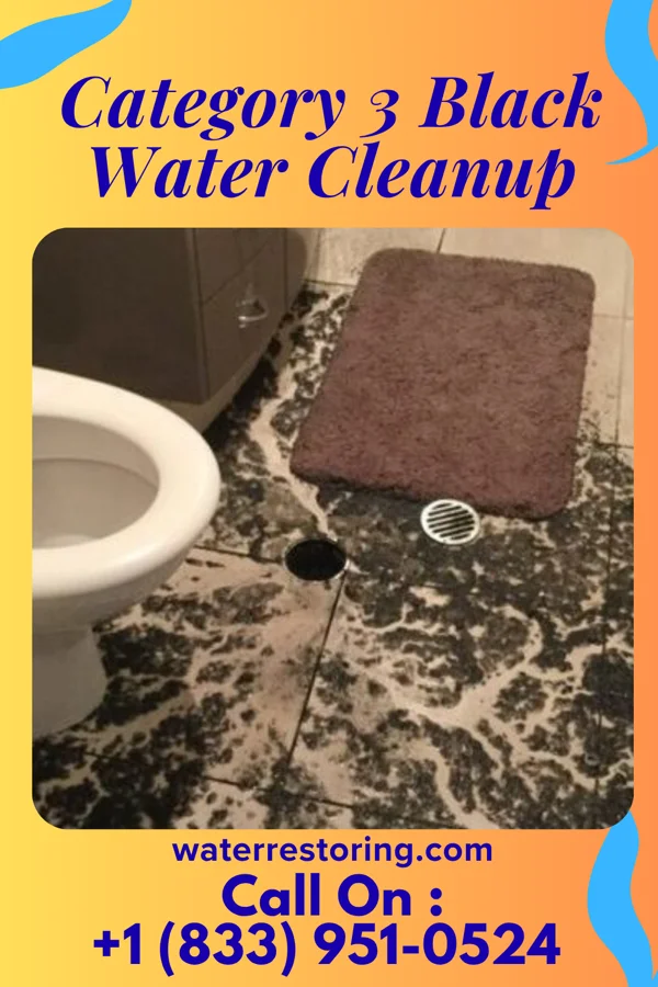 Category 3 Black Water Cleanup in Twilight, PA