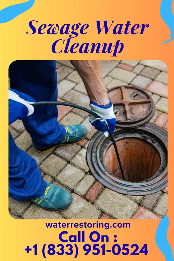 Sewage Water Cleanup in Twilight, PA