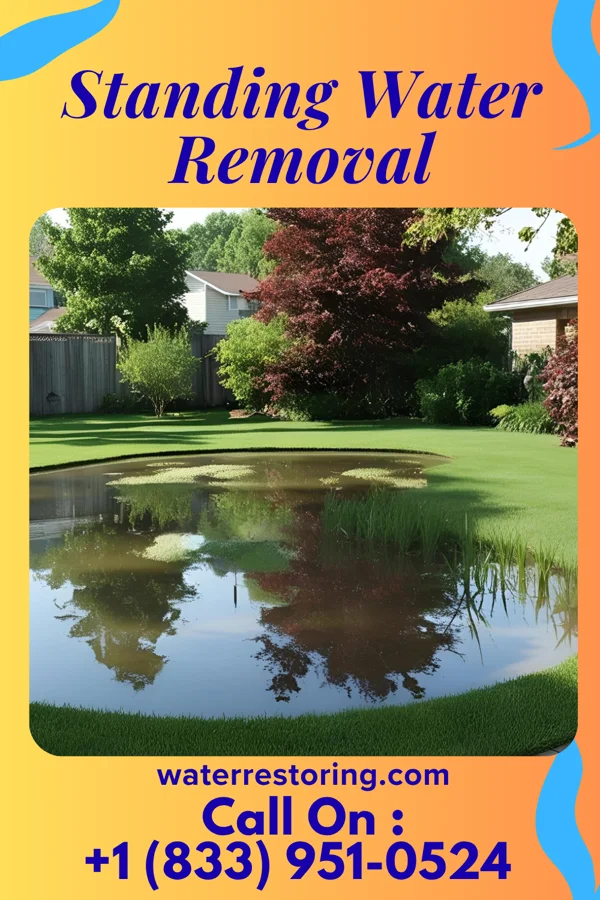 Standing Water Removal in Twilight, PA